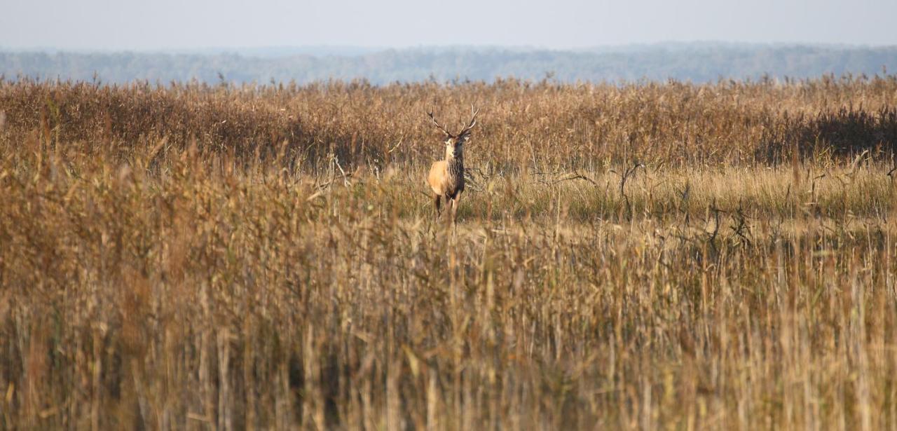 Pokoje Goscinne "Tak Lubisz" Gardna Wielka ภายนอก รูปภาพ