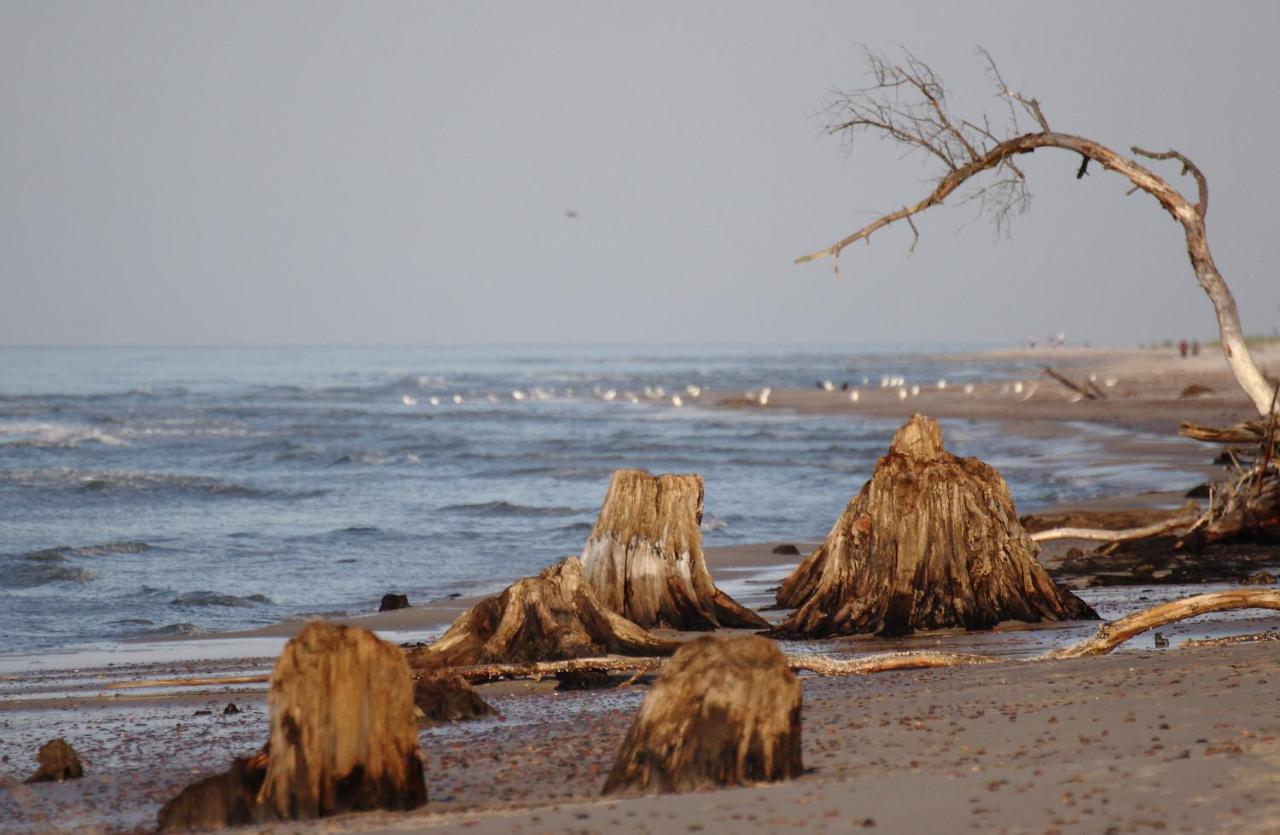 Pokoje Goscinne "Tak Lubisz" Gardna Wielka ภายนอก รูปภาพ