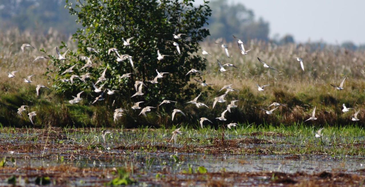 Pokoje Goscinne "Tak Lubisz" Gardna Wielka ภายนอก รูปภาพ